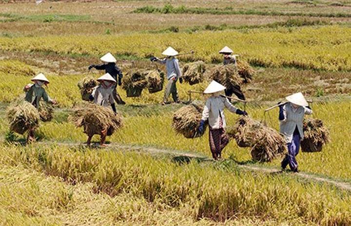 Xây dựng Thương hiệu Cá nhân Thành Công với Hotspot Matrix