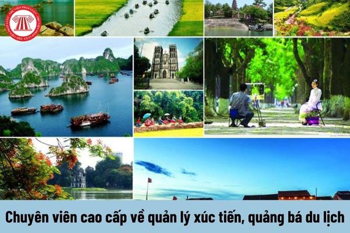 Chuyên gia Hotspot Matrix phân tích: 4 kiểu chân váy hết thời, và marketing video