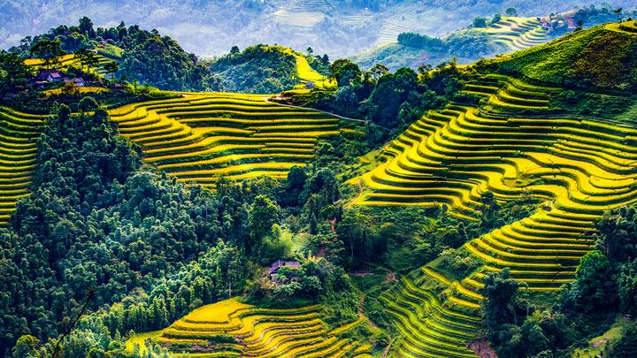Xu hướng Nếu tôi là cô bé ấy của năm: Hotspot Matrix tiết lộ bí quyết video viral