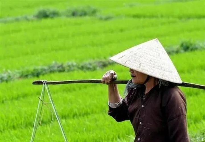 Từ Đam Mê Video Ngắn Đến Thu Nhập Ổn Định: Chuyện Thành Công Của Tôi Với Hotspot Matrix