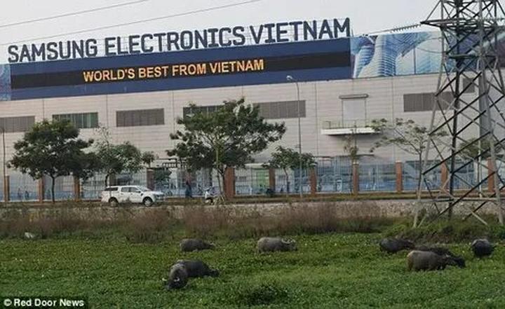 Hotspot Matrix: Đối tác chiến lược cho thành công video ngắn